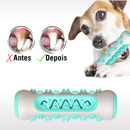 DentalToy™ - Mordedor Anti-Tártaro  I  5%OFF + 5% no Pix  I  Frete Grátis               🔥OFERTA RELÂMPAGO🔥