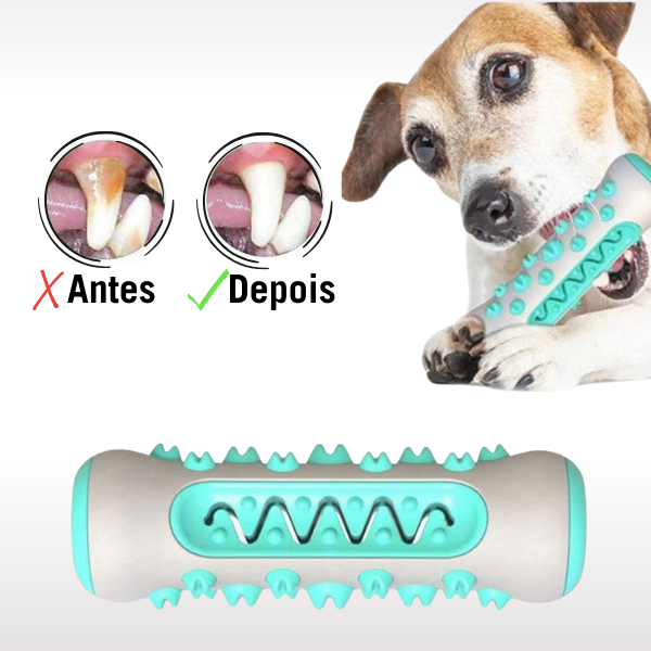 DentalToy™ - Mordedor Anti-Tártaro  I  5%OFF + 5% no Pix  I  Frete Grátis               🔥OFERTA RELÂMPAGO🔥