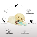 DentalToy™ - Mordedor Anti-Tártaro  I  5%OFF + 5% no Pix  I  Frete Grátis               🔥OFERTA RELÂMPAGO🔥